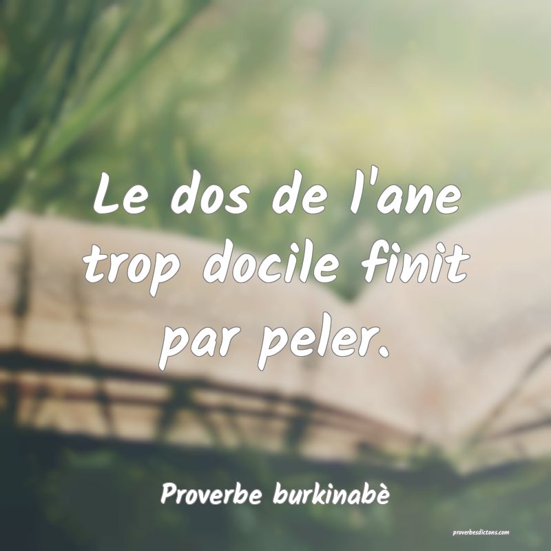  Le dos de l'ane trop docile finit par peler.