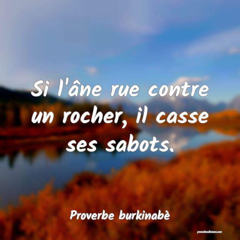  Si l'âne rue contre un rocher, il casse ses sabots.