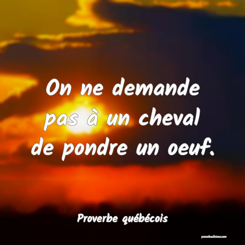  On ne demande pas à un cheval de pondre un oeuf.