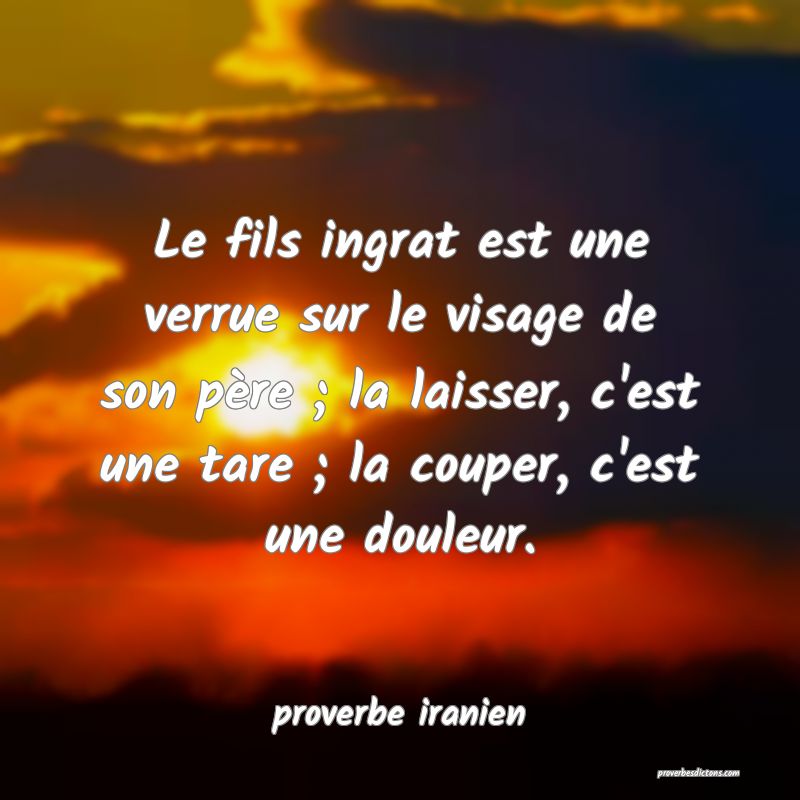  Le fils ingrat est une verrue sur le visage de son père ; la laisser, c'est une tare ; la couper, c'est une douleur.