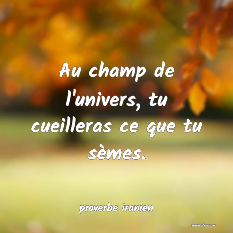  Au champ de l'univers, tu cueilleras ce que tu sèmes.