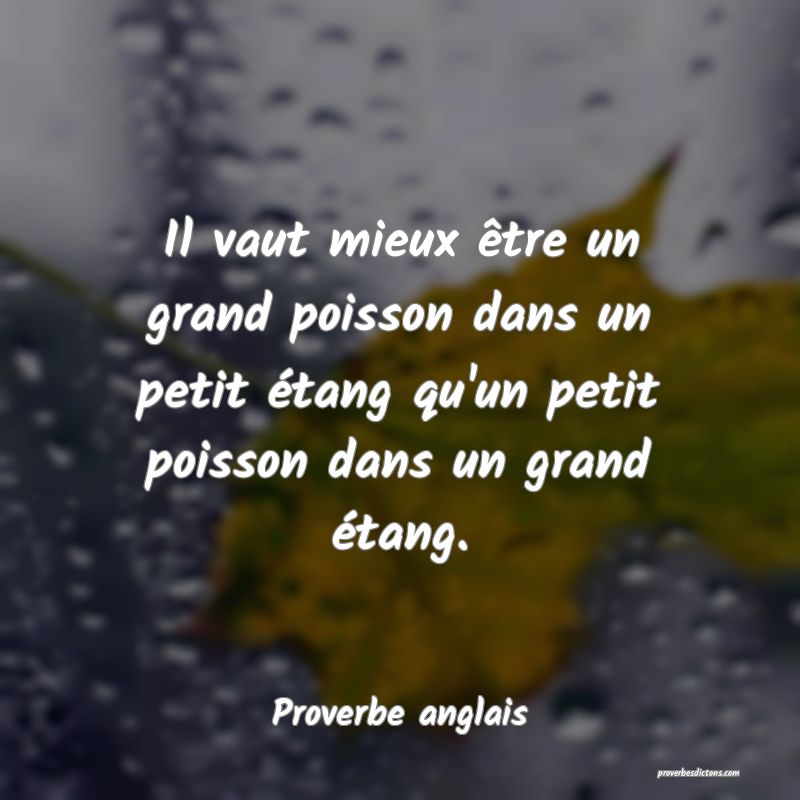  Il vaut mieux être un grand poisson dans un petit étang qu'un petit poisson dans un grand étang.