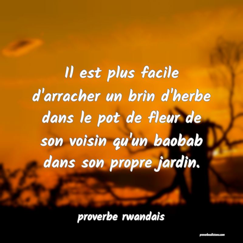  Il est plus facile d'arracher un brin d'herbe dans le pot de fleur de son voisin qu'un baobab dans son propre jardin.