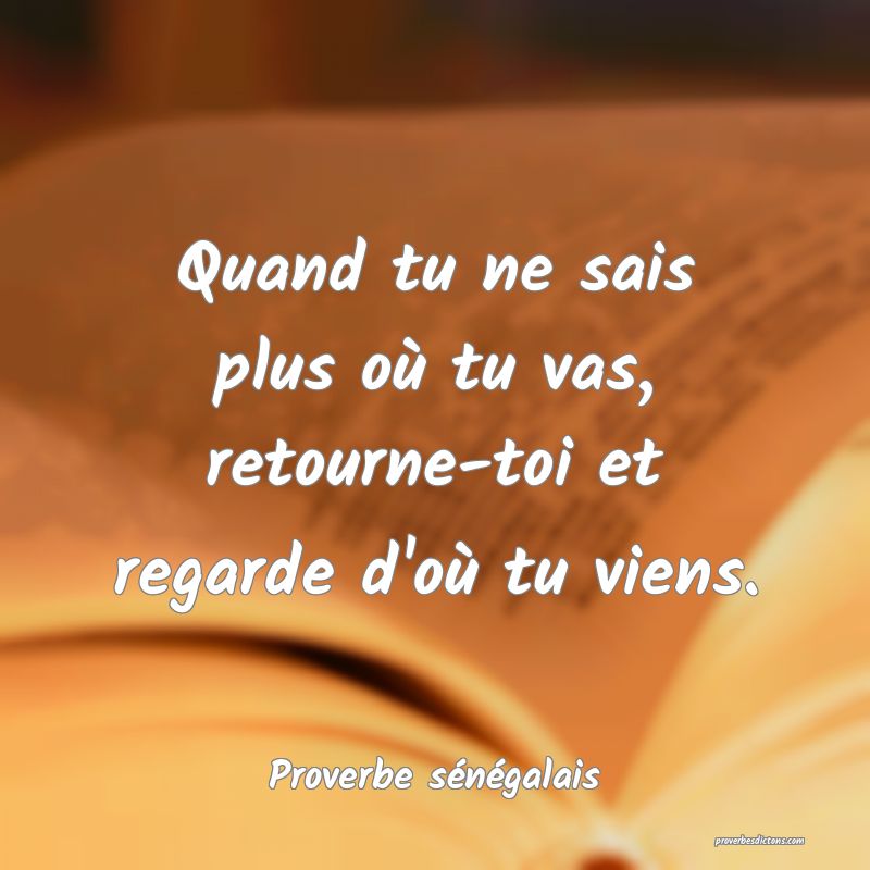  Quand tu ne sais plus où tu vas, retourne-toi et regarde d'où tu viens.