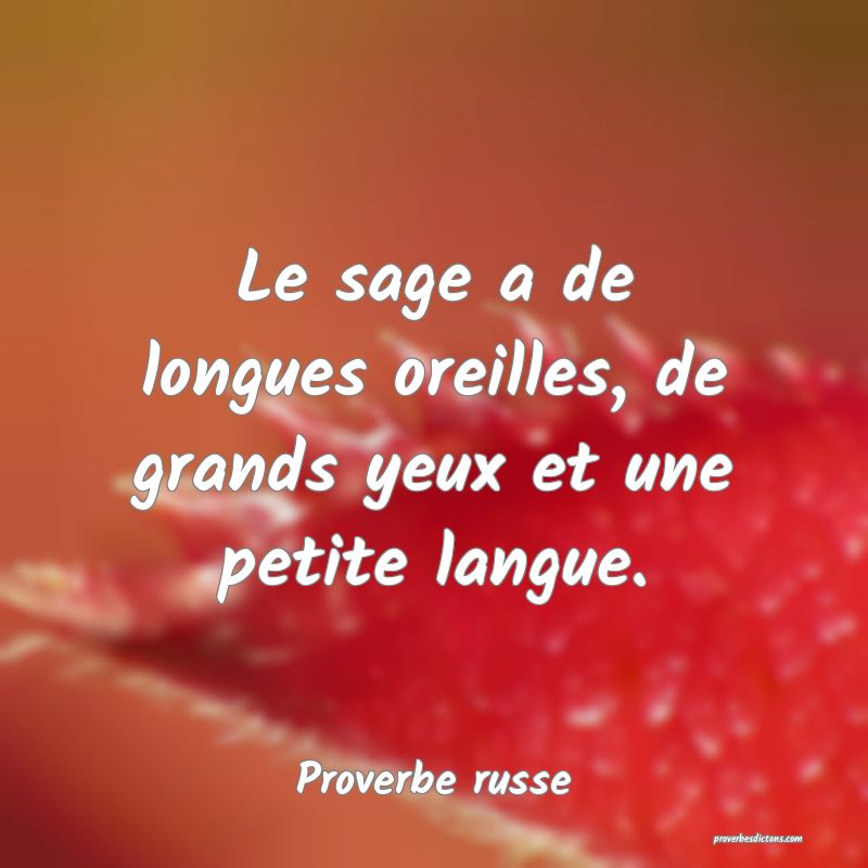  Le sage a de longues oreilles, de grands yeux et une petite langue.