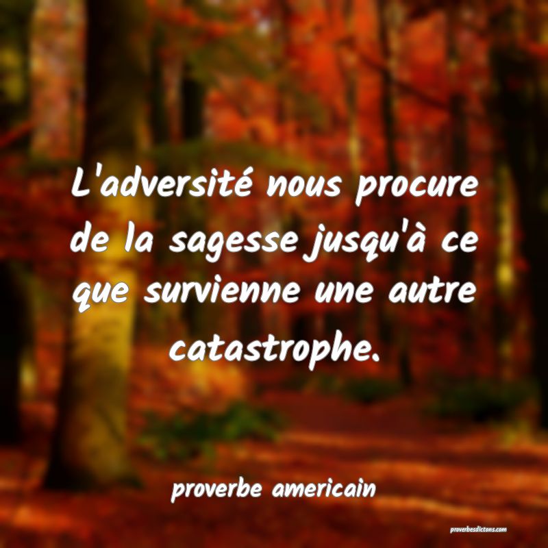  L'adversité nous procure de la sagesse jusqu'à ce que survienne une autre catastrophe.