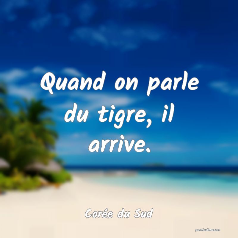  Quand on parle du tigre, il arrive.