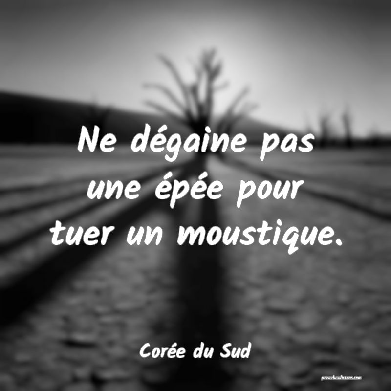  Ne dégaine pas une épée pour tuer un moustique.