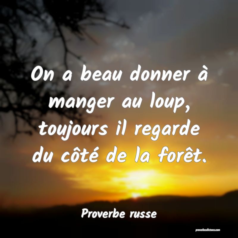  On a beau donner à manger au loup, toujours il regarde du côté de la forêt.