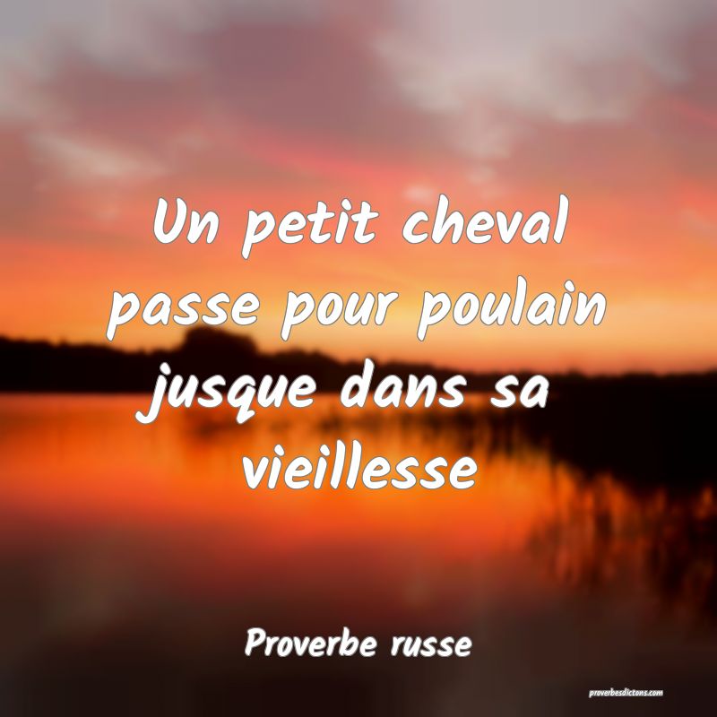  Un petit cheval passe pour poulain jusque dans sa vieillesse
