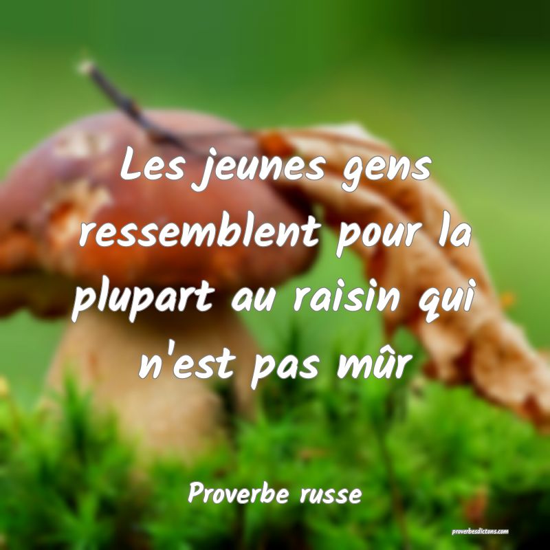  Les jeunes gens ressemblent pour la plupart au raisin qui n'est pas mûr