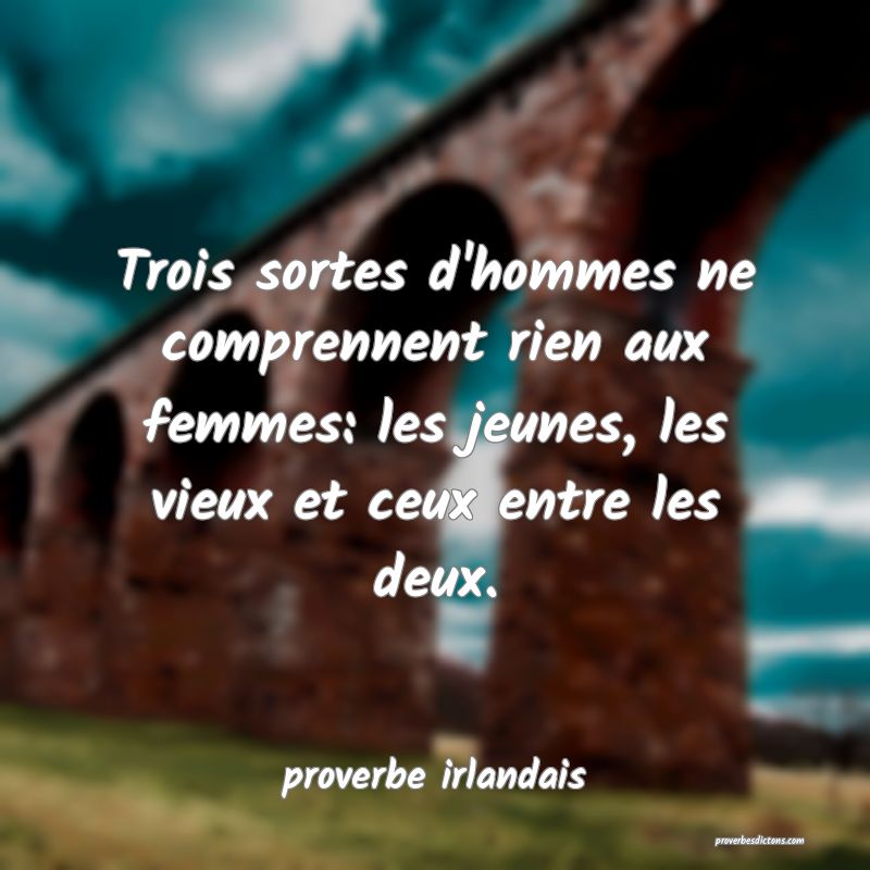  Trois sortes d'hommes ne comprennent rien aux femmes: les jeunes, les vieux et ceux entre les deux.