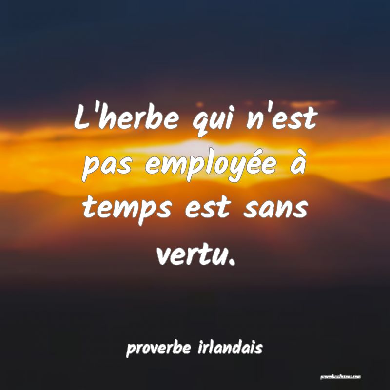  L'herbe qui n'est pas employée à temps est sans vertu.