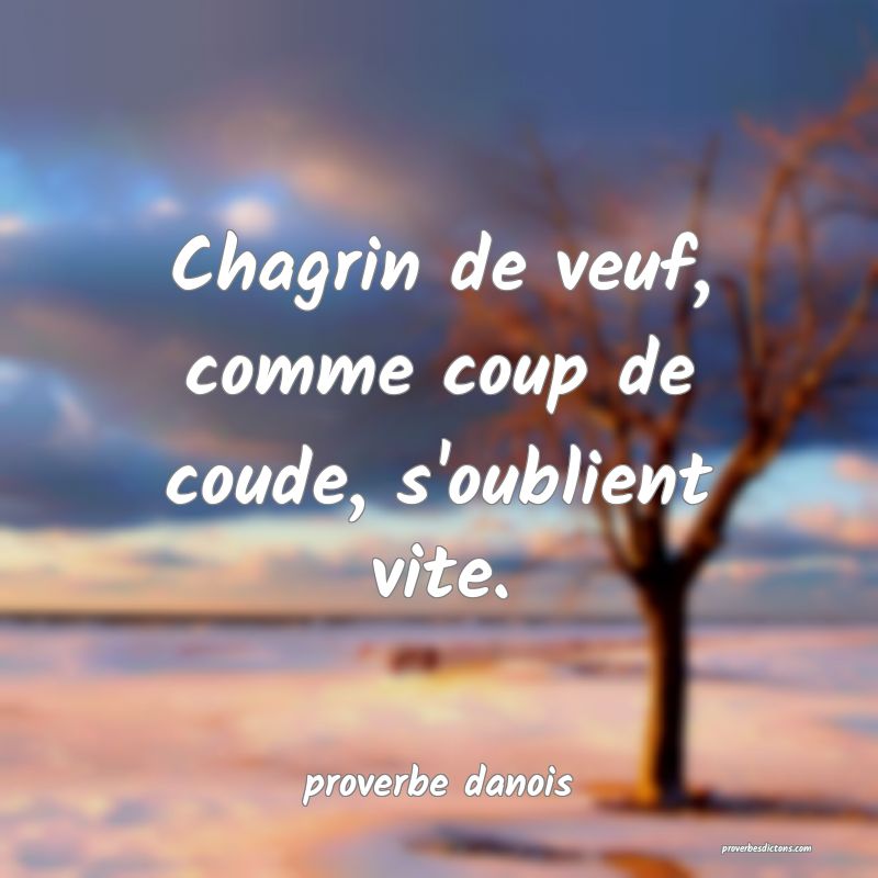  Chagrin de veuf, comme coup de coude, s'oublient vite.
