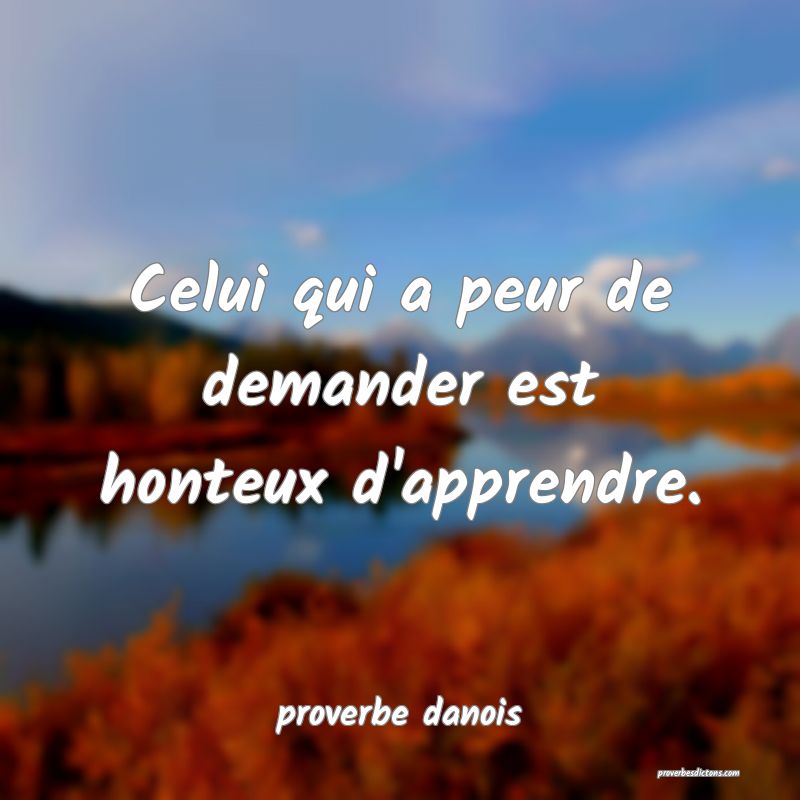  Celui qui a peur de demander est honteux d'apprendre.