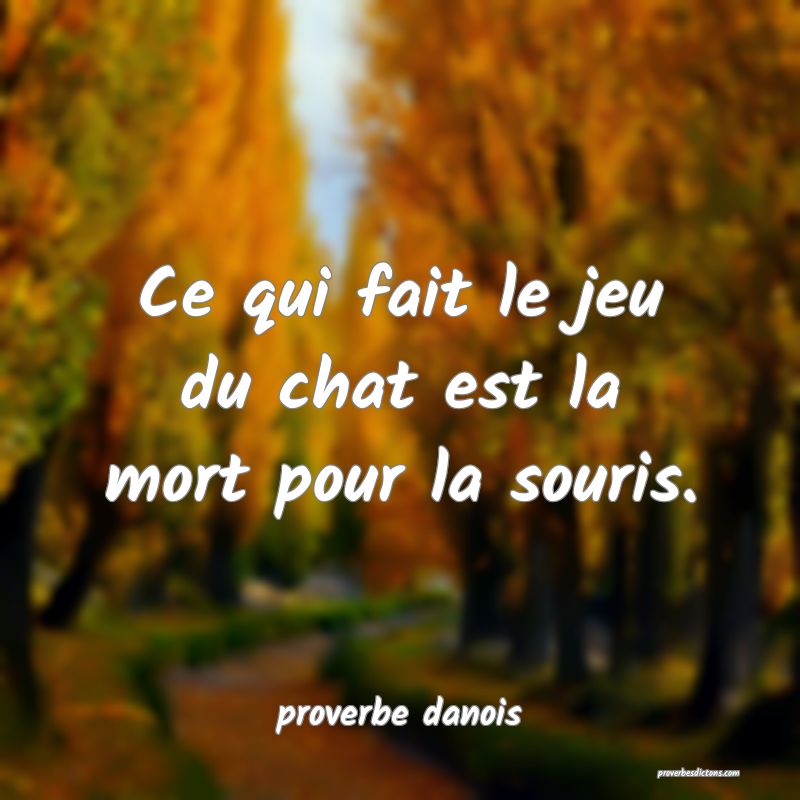  Ce qui fait le jeu du chat est la mort pour la souris.
