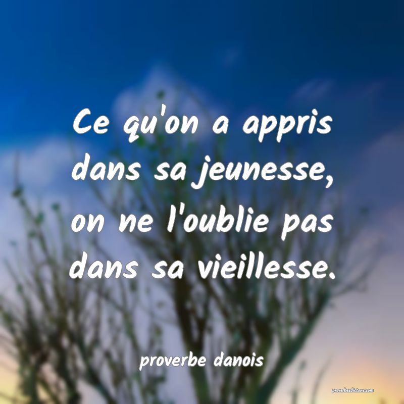  Ce qu'on a appris dans sa jeunesse, on ne l'oublie pas dans sa vieillesse.