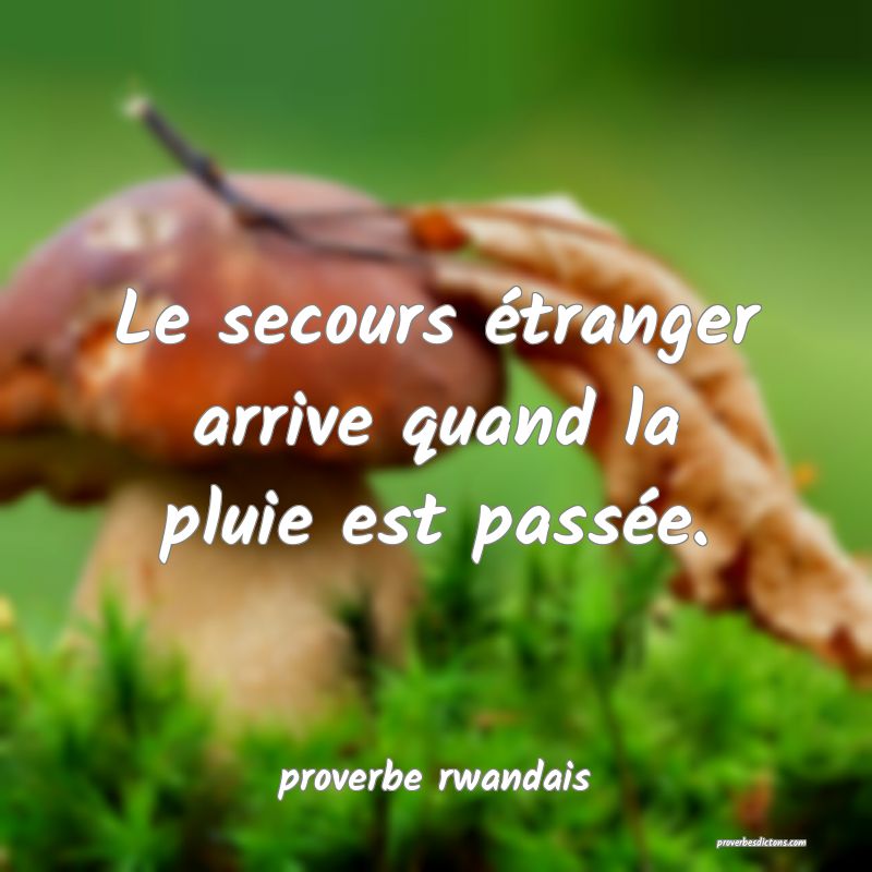  Le secours étranger arrive quand la pluie est passée.