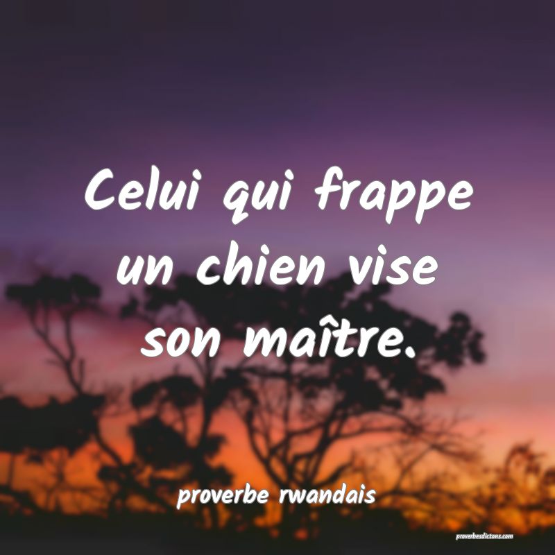  Celui qui frappe un chien vise son maître.