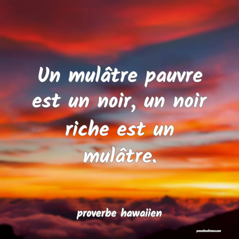  Un mulâtre pauvre est un noir, un noir riche est un mulâtre.