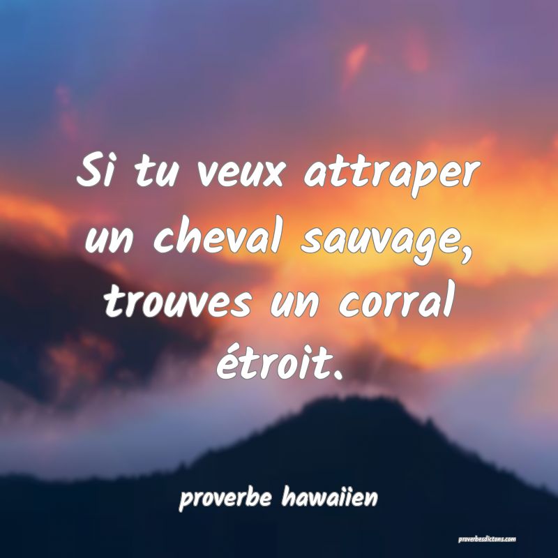  Si tu veux attraper un cheval sauvage, trouves un corral étroit.