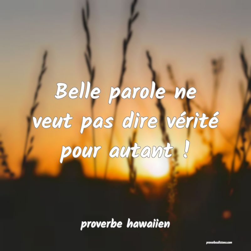  Belle parole ne veut pas dire vérité pour autant !