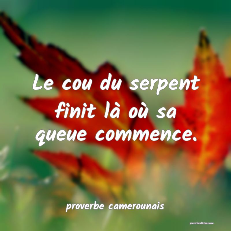  Le cou du serpent finit là où sa queue commence.