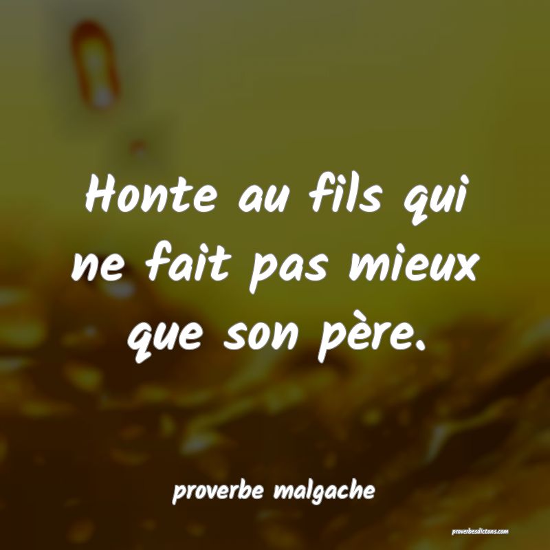 Honte au fils qui ne fait pas mieux que son père.