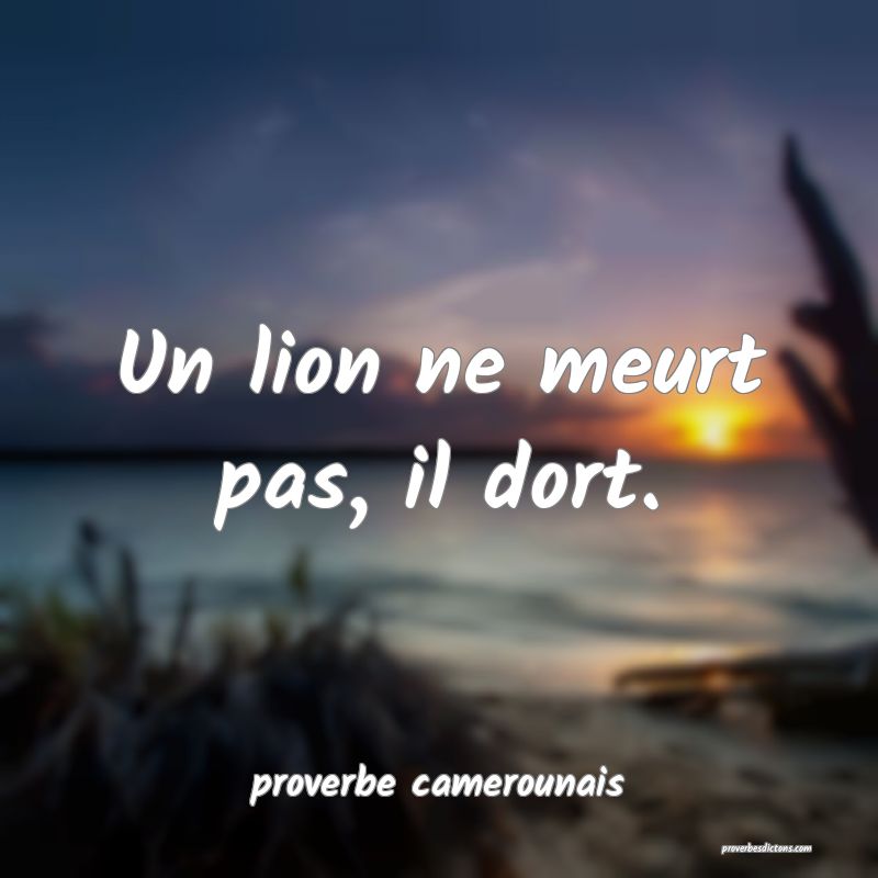  Un lion ne meurt pas, il dort.