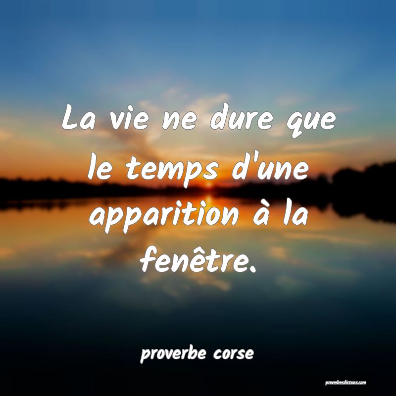  La vie ne dure que le temps d'une apparition à la fenêtre.