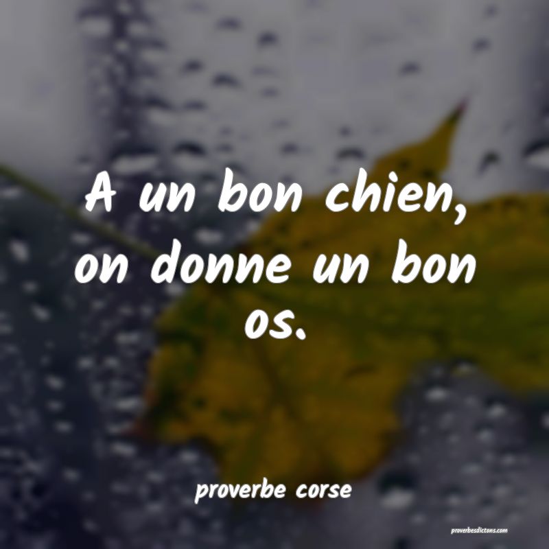  A un bon chien, on donne un bon os.