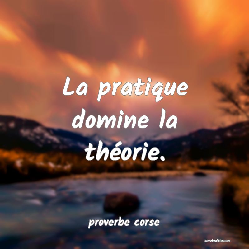  La pratique domine la théorie.