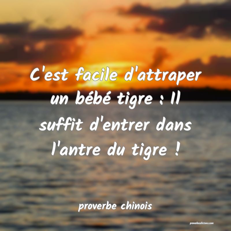  C'est facile d'attraper un bébé tigre : Il suffit d'entrer dans l'antre du tigre !
