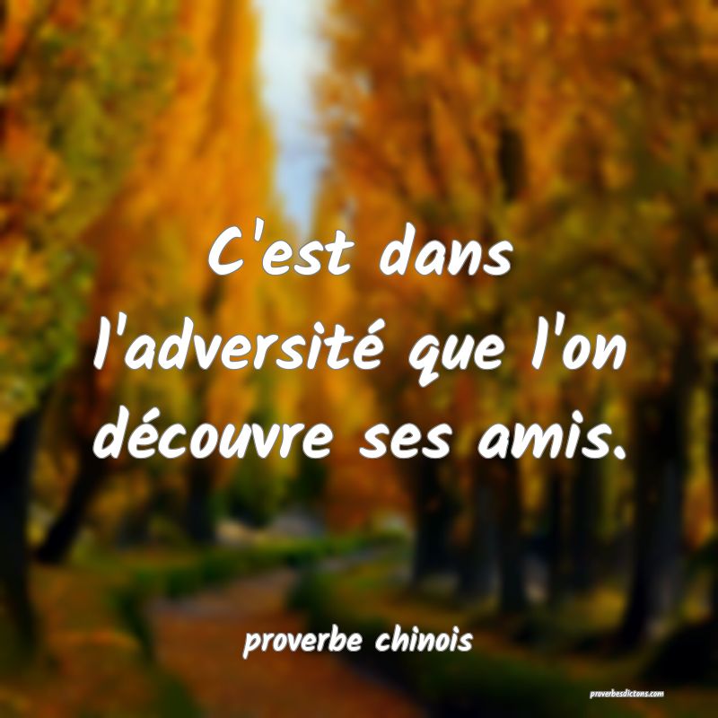  C'est dans l'adversité que l'on découvre ses amis.