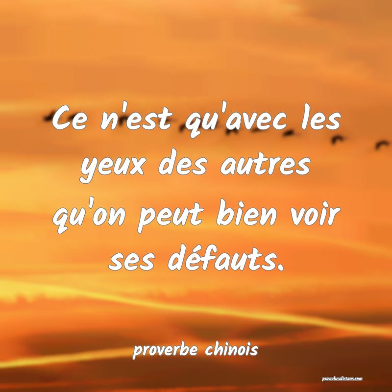  Ce n'est qu'avec les yeux des autres qu'on peut bien voir ses défauts.