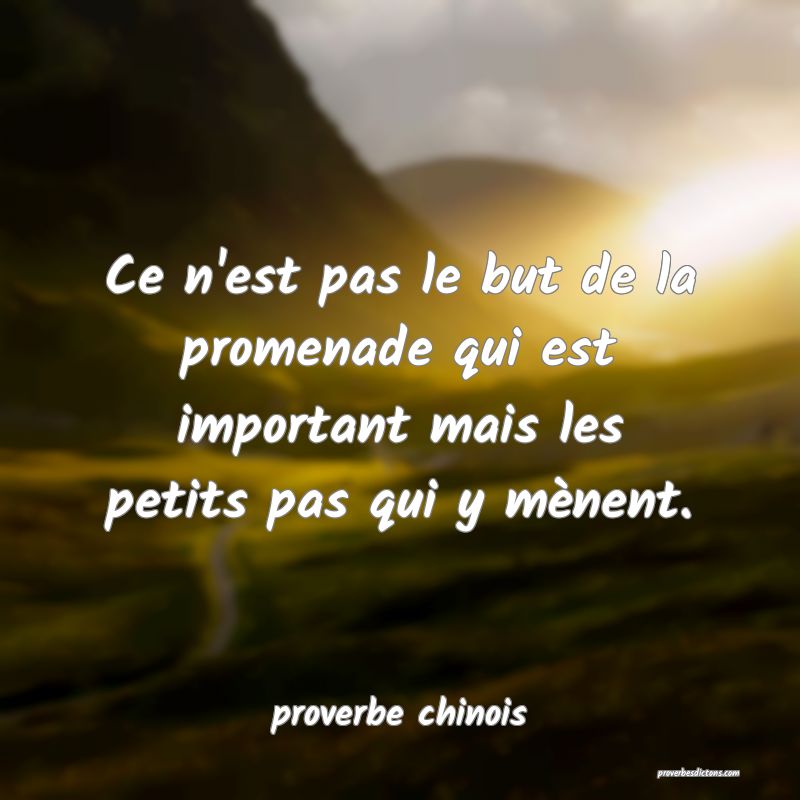  Ce n'est pas le but de la promenade qui est important mais les petits pas qui y mènent.