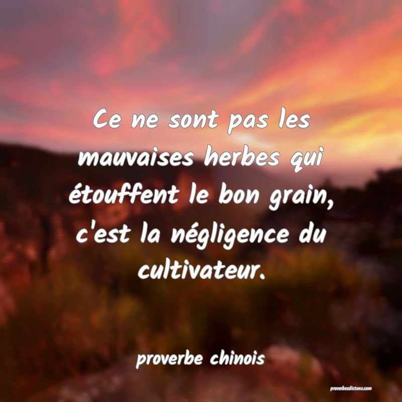  Ce ne sont pas les mauvaises herbes qui étouffent le bon grain, c'est la négligence du cultivateur.