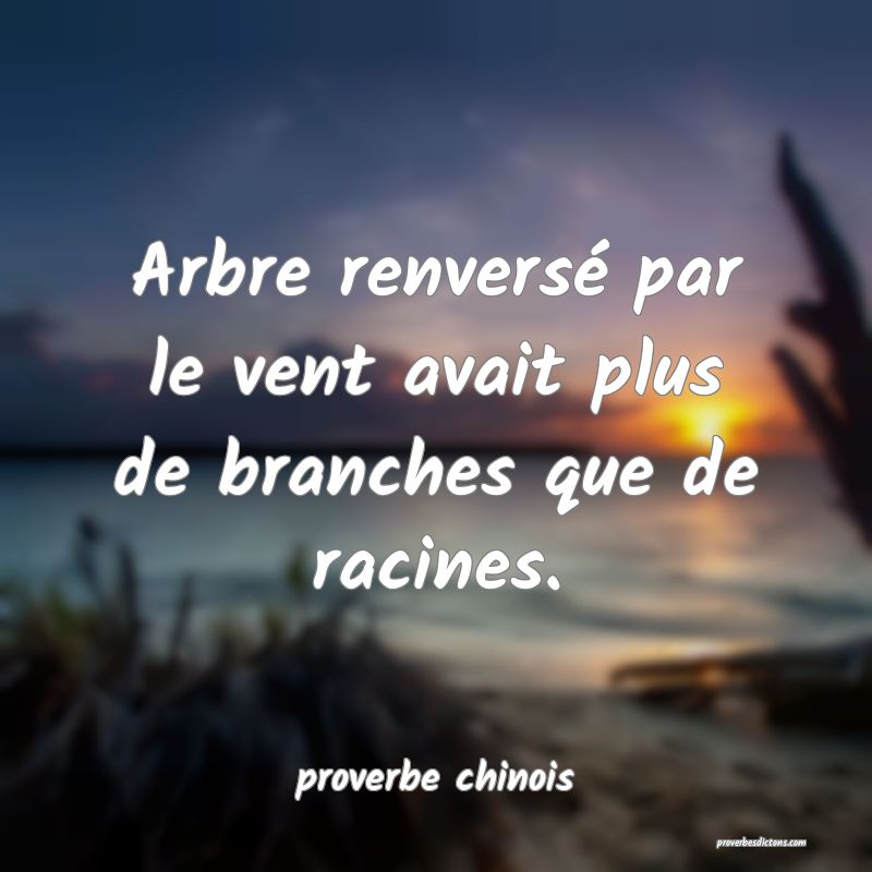  Arbre renversé par le vent avait plus de branches que de racines. 