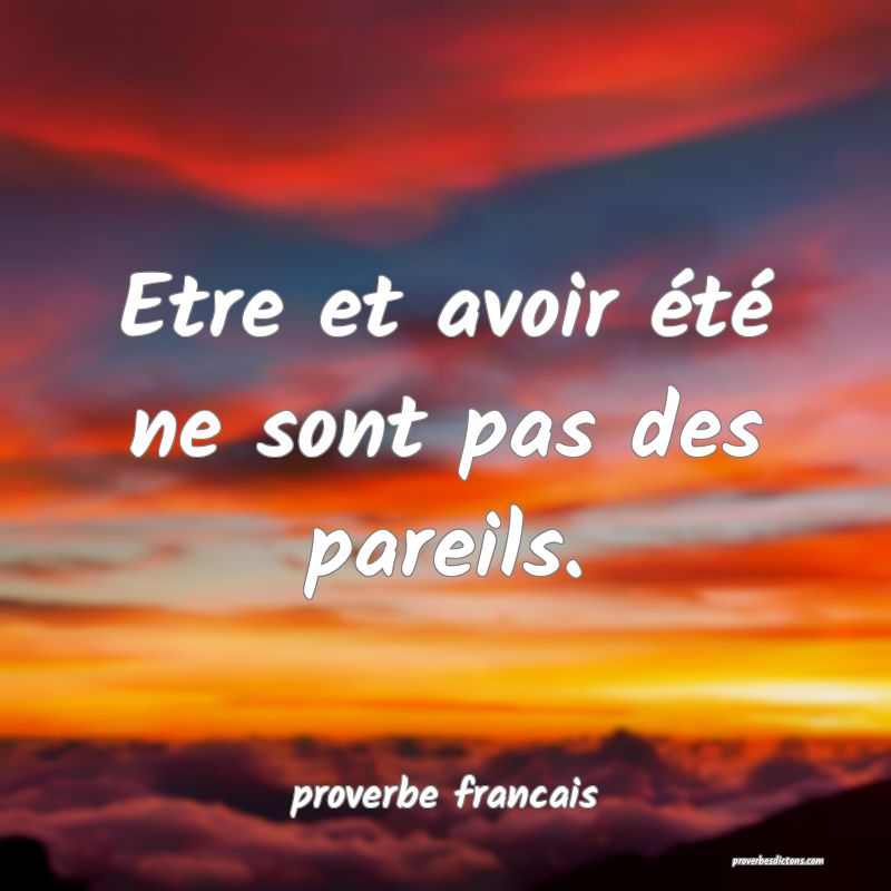  Etre et avoir été ne sont pas des pareils.