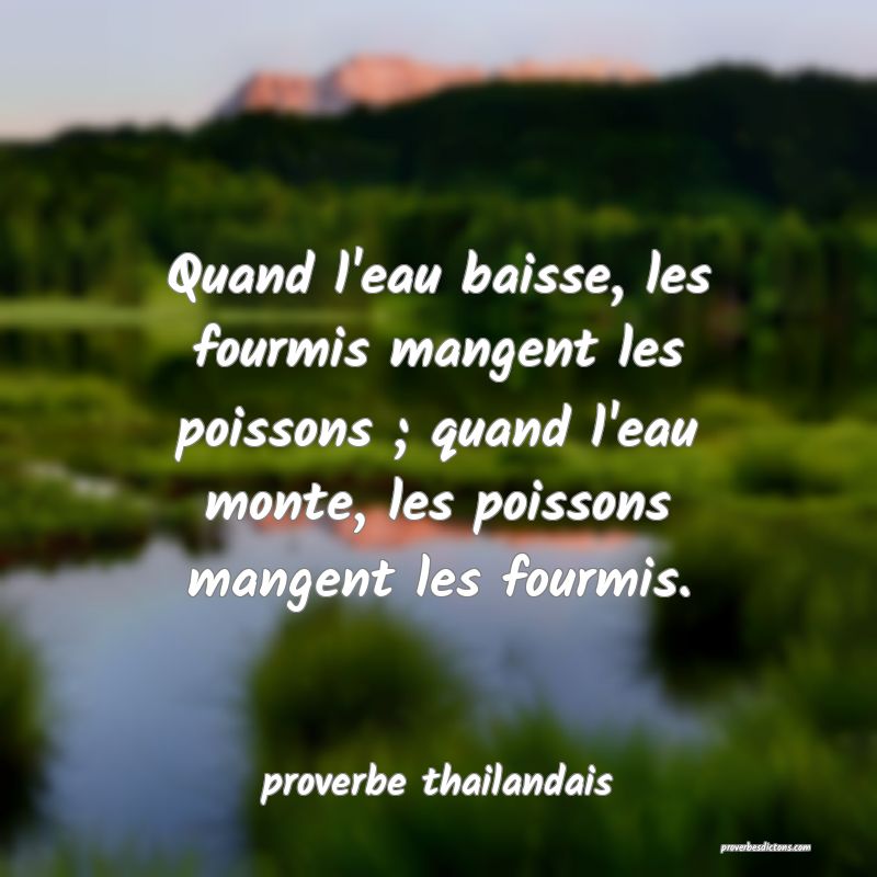  Quand l'eau baisse, les fourmis mangent les poissons ; quand l'eau monte, les poissons mangent les fourmis.