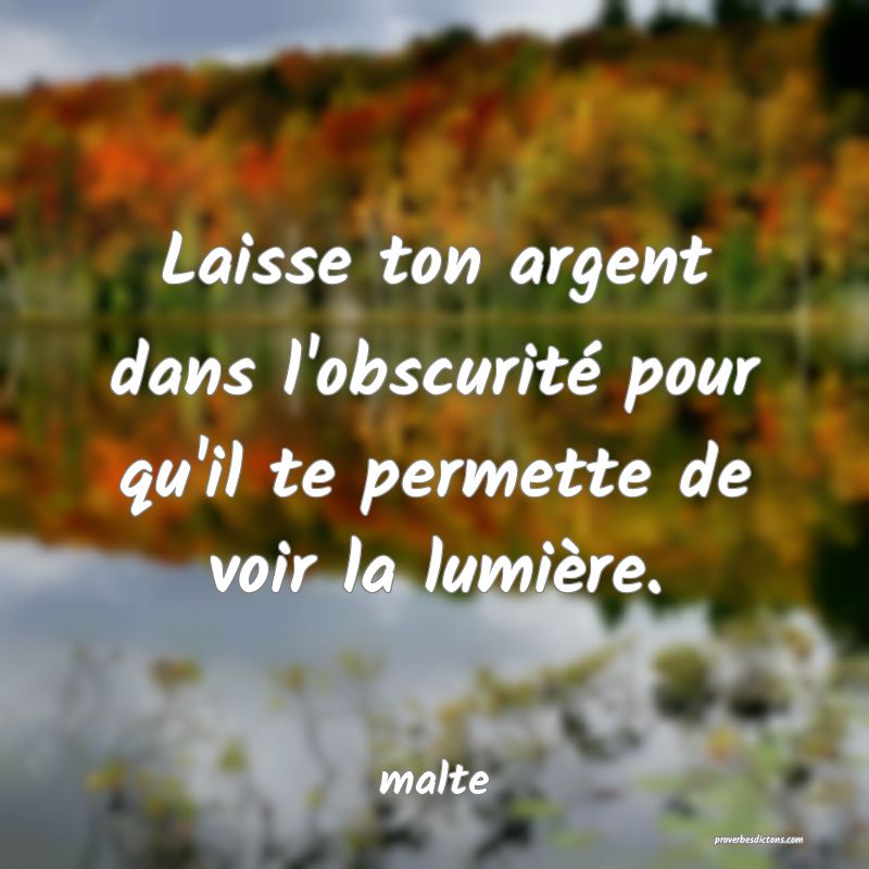  Laisse ton argent dans l'obscurité pour qu'il te permette de voir la lumière.