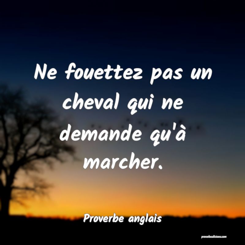  Ne fouettez pas un cheval qui ne demande qu'à marcher.