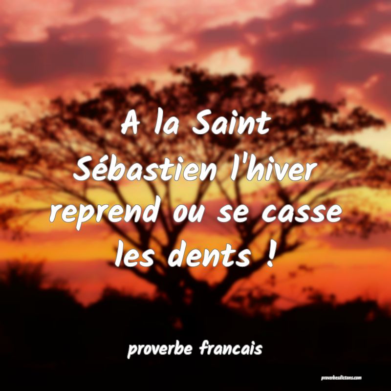  A la Saint Sébastien l'hiver reprend ou se casse les dents !