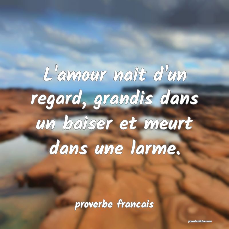  L'amour nait d'un regard, grandis dans un baiser et meurt dans une larme.