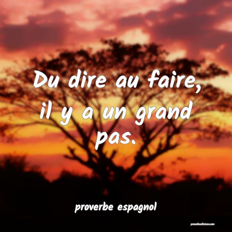  Du dire au faire, il y a un grand pas.