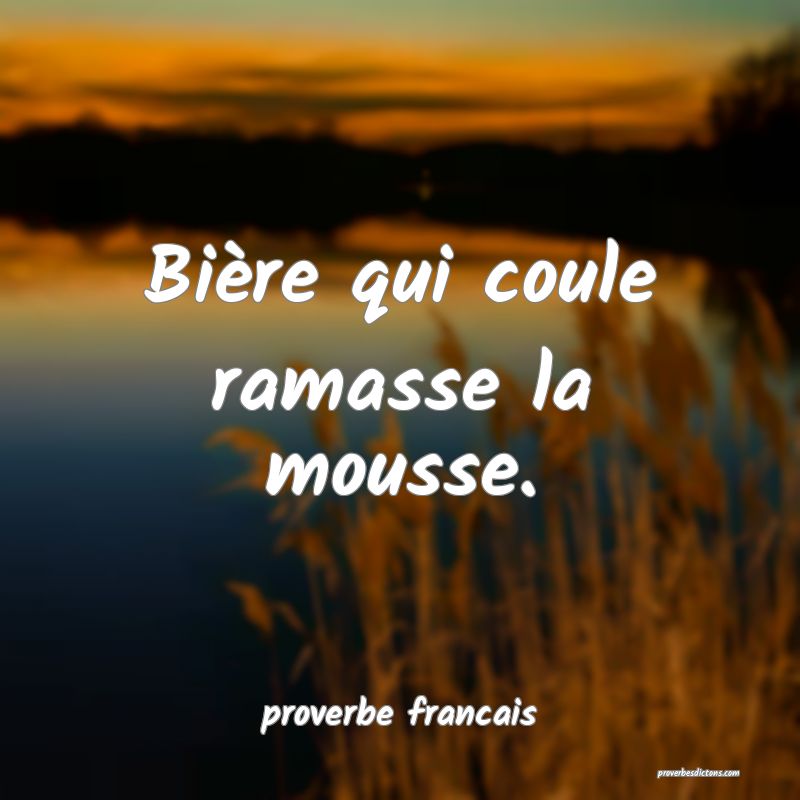  Bière qui coule ramasse la mousse.