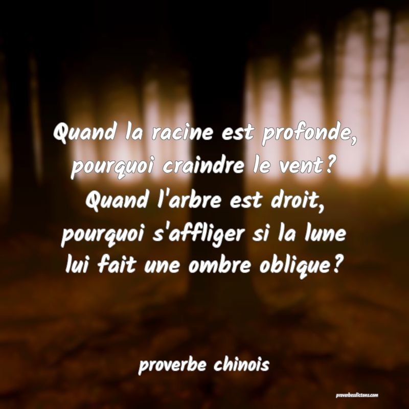  Quand la racine est profonde, pourquoi craindre le vent? Quand l'arbre est droit, pourquoi s'affliger si la lune lui fait une ombre oblique?