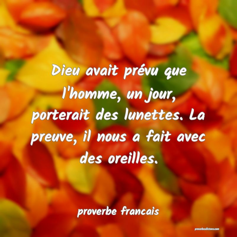  Dieu avait prévu que l'homme, un jour, porterait des lunettes. La preuve, il nous a fait avec des oreilles.