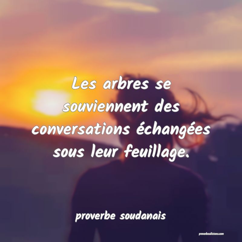  Les arbres se souviennent des conversations échangées sous leur feuillage.