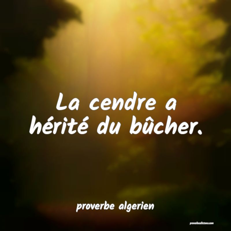  La cendre a hérité du bûcher.
